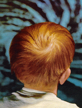 20080131194144-191.gif