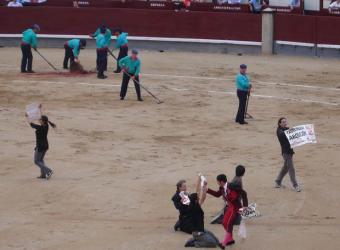 20080505231057-antitaurinos-ruedo.jpg